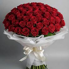 Букет 101 Красная роза Блэк Мэджик в Большое Гридино