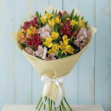 Букет цветов из:  Альстромерии #REPLACE_PRED# Большое Гридино