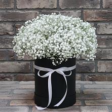 Цветочная композиция из Гипсофила в шляпной коробке в Большое Гридино