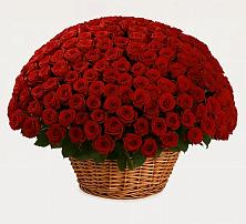 Премиум букет из: Розы #REPLACE_PRED# Большое Гридино